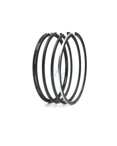 Piston Ring Set for VM Motori 110SL, 210SL, 310SL, 410SL (101mm) [#10270020A]